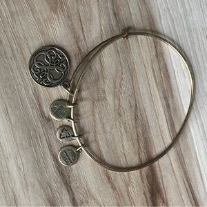 Alex and Ani Path of Life Charm Bangle Bracelet